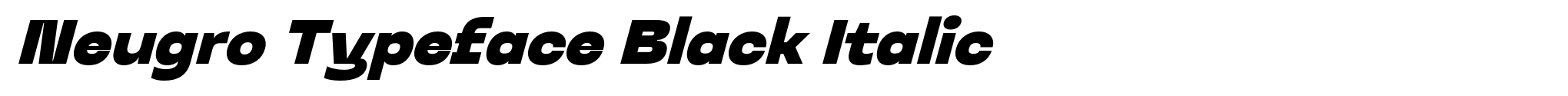 Neugro Typeface Black Italic image